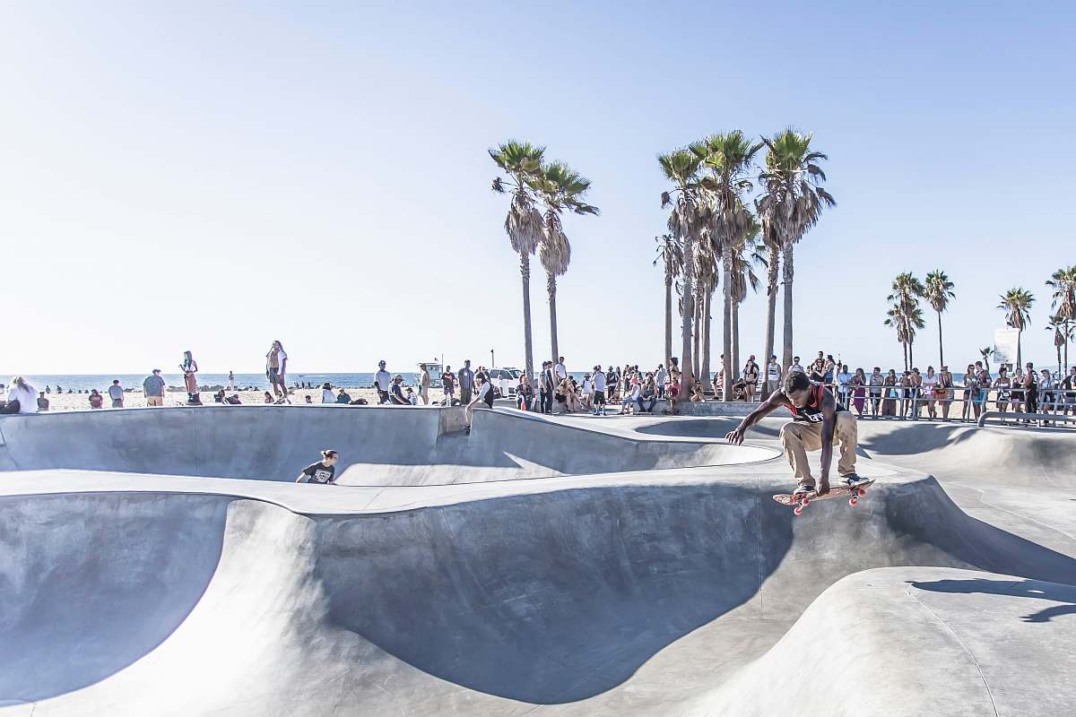palm tree man playing skateboard doing tricks arecaceae